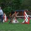 agility 2011-04